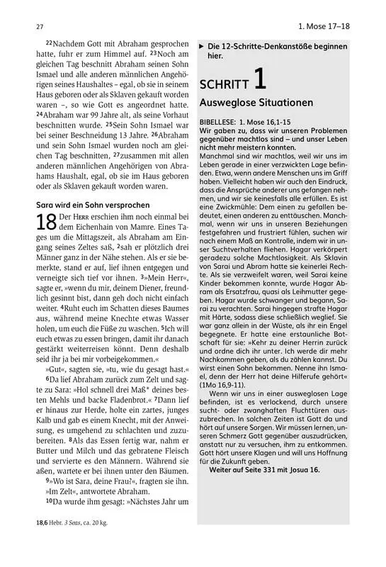 Bild: 9783417258158 | Die Bibel für die zweite Chance | Stephen Arterburn (u. a.) | Buch