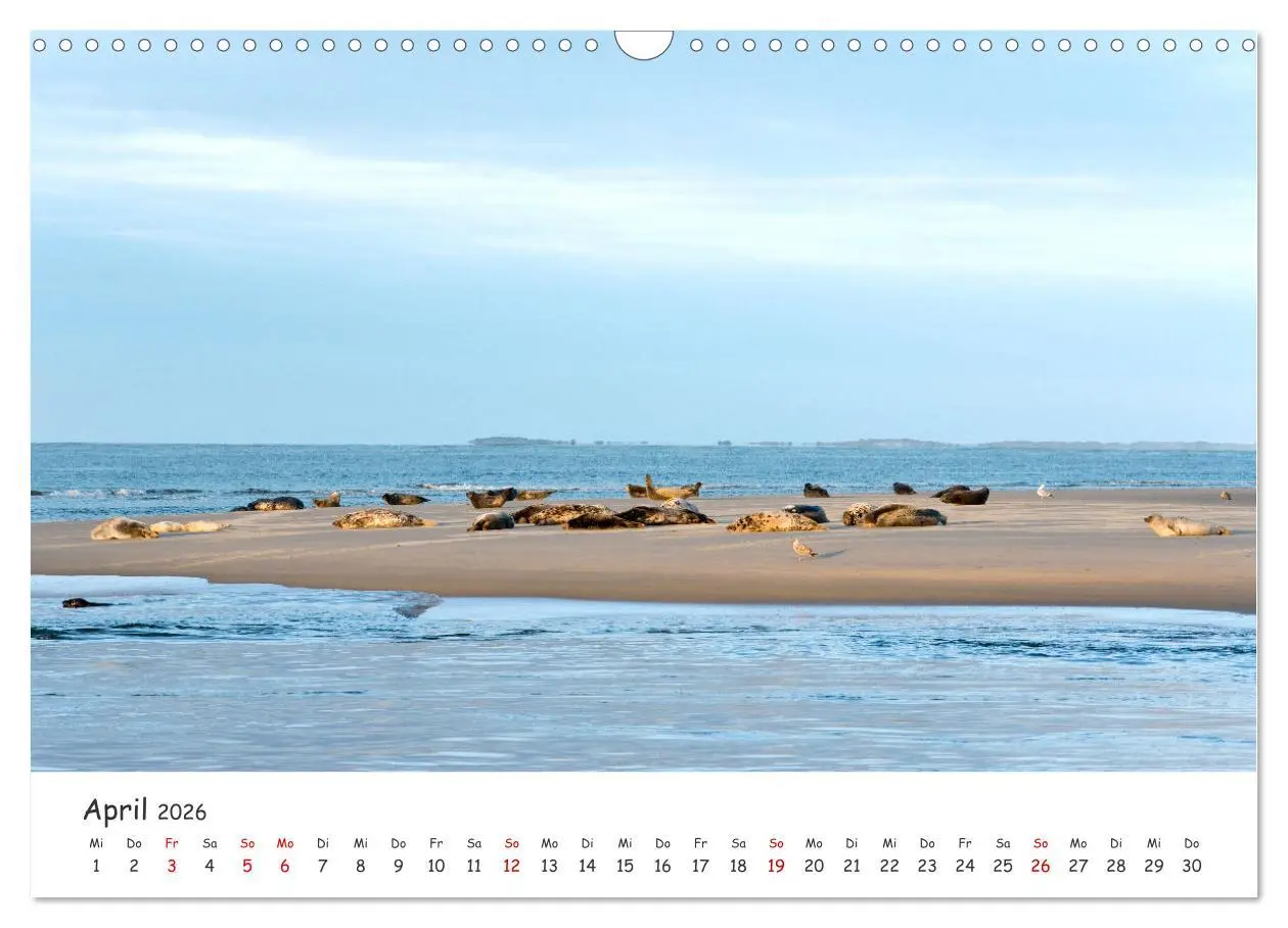 Bild: 9783457618158 | Borkum: Streifzüge über die Nordseeinsel (Wandkalender 2026 DIN A3...