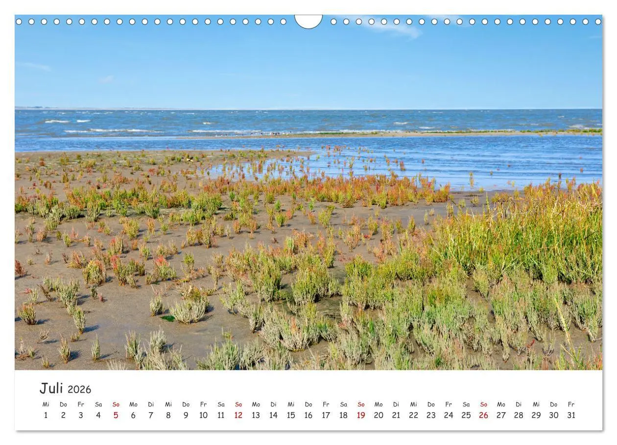 Bild: 9783457618158 | Borkum: Streifzüge über die Nordseeinsel (Wandkalender 2026 DIN A3...