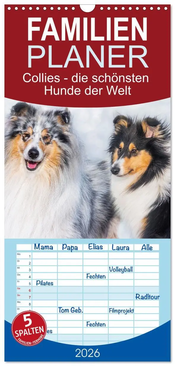 Cover: 9783516498158 | Familienplaner 2026 - Collies - die schönsten Hunde der Welt mit 5...