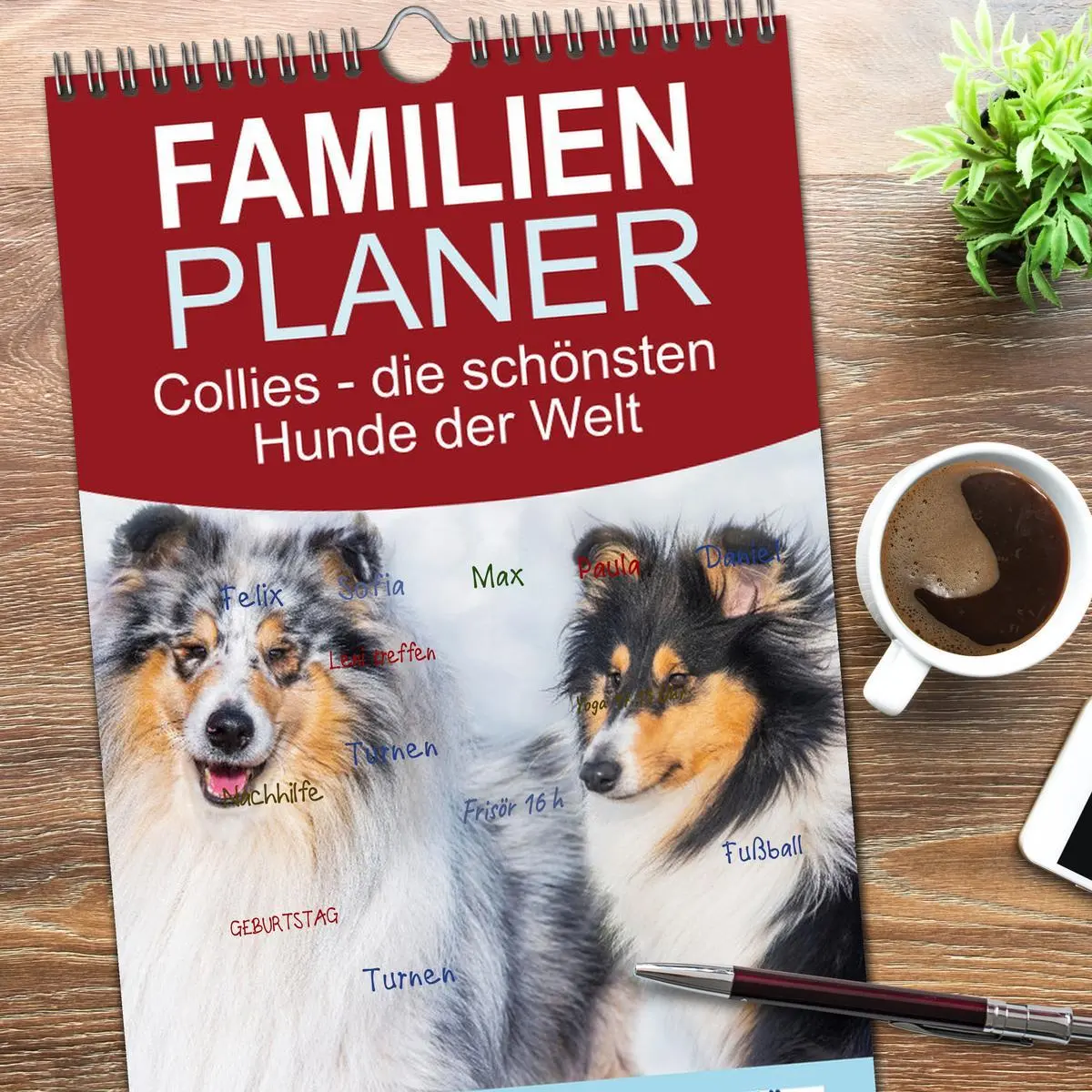 Bild: 9783516498158 | Familienplaner 2026 - Collies - die schönsten Hunde der Welt mit 5...