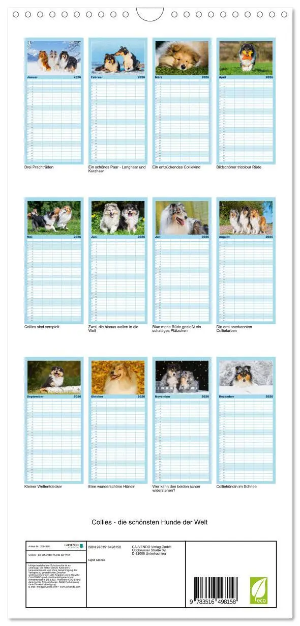 Bild: 9783516498158 | Familienplaner 2026 - Collies - die schönsten Hunde der Welt mit 5...