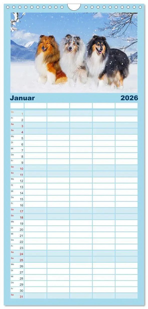 Bild: 9783516498158 | Familienplaner 2026 - Collies - die schönsten Hunde der Welt mit 5...