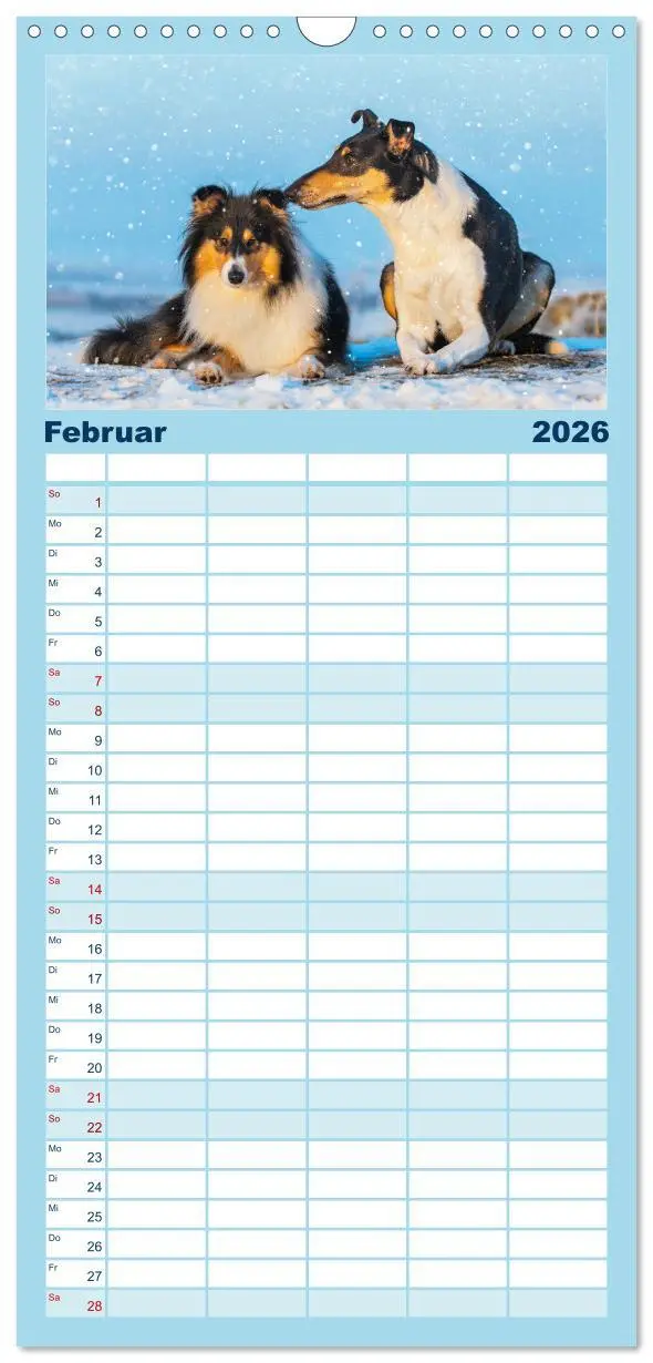Bild: 9783516498158 | Familienplaner 2026 - Collies - die schönsten Hunde der Welt mit 5...