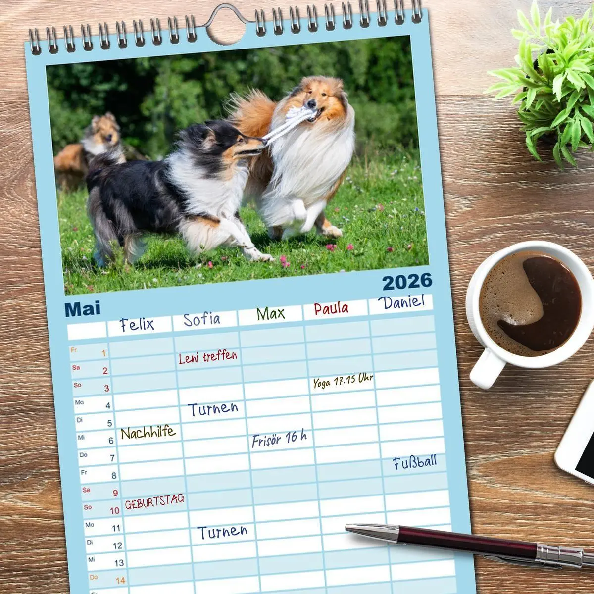 Bild: 9783516498158 | Familienplaner 2026 - Collies - die schönsten Hunde der Welt mit 5...