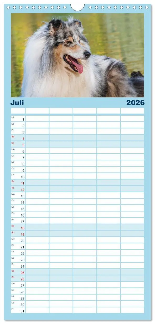 Bild: 9783516498158 | Familienplaner 2026 - Collies - die schönsten Hunde der Welt mit 5...