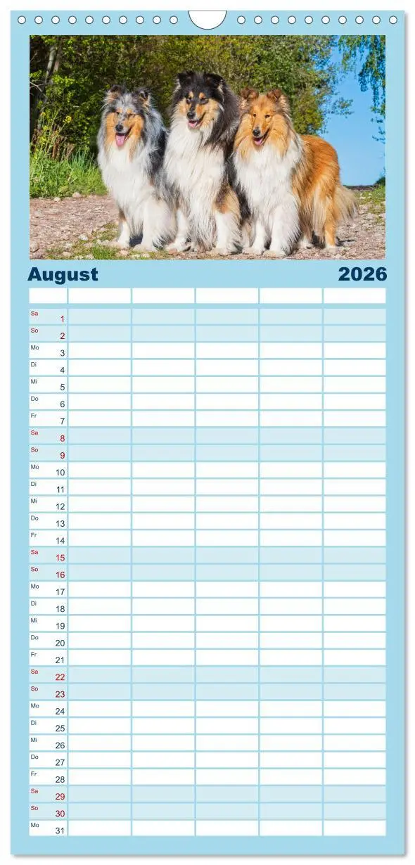 Bild: 9783516498158 | Familienplaner 2026 - Collies - die schönsten Hunde der Welt mit 5...