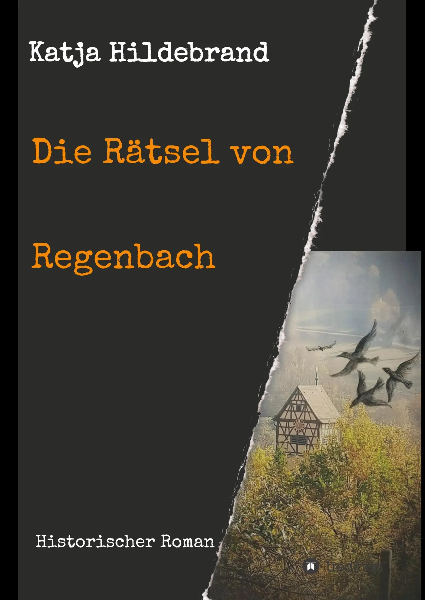 Cover: 9783749768158 | Die Rätsel von Regenbach | Historischer Roman | Katja Hildebrand