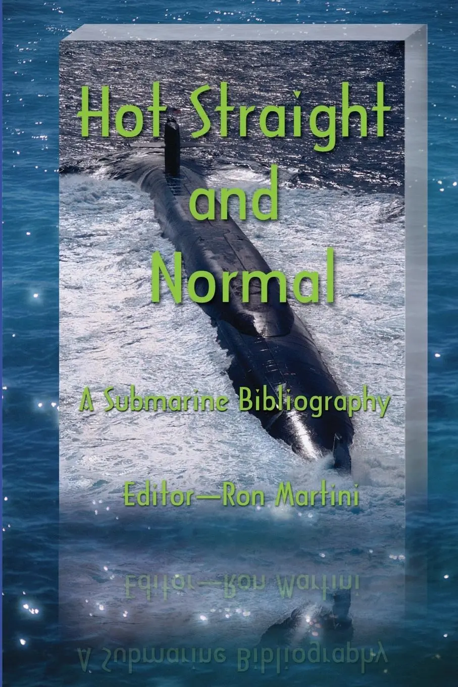 Cover: 9780595208258 | Hot Straight and Normal | Ron Martini | Taschenbuch | Englisch | 2001