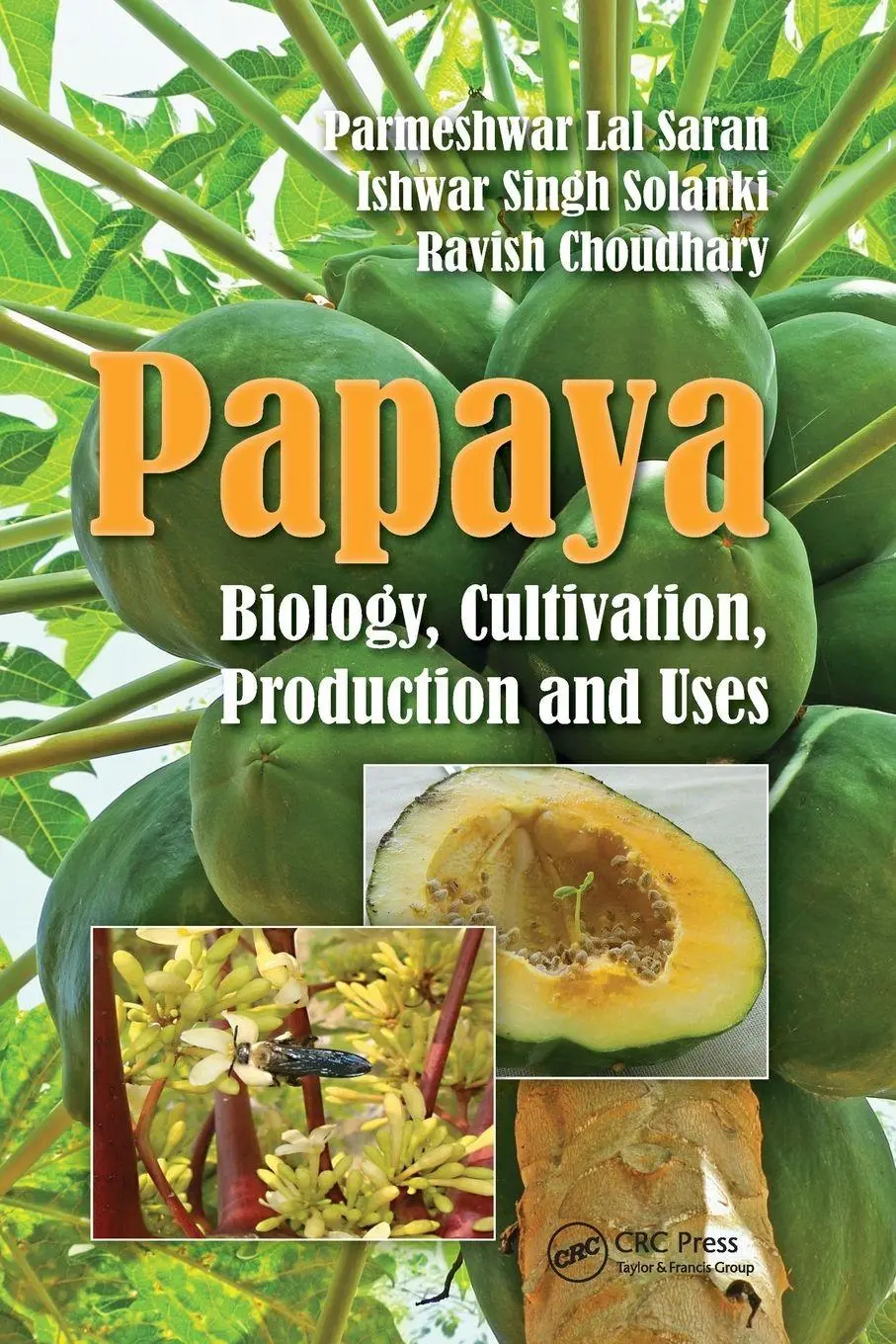 Cover: 9781032098258 | Papaya | Biology, Cultivation, Production and Uses | Saran (u. a.)
