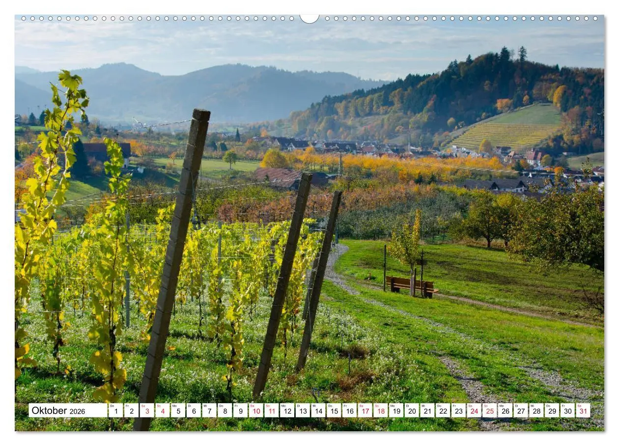Bild: 9783457778258 | Idyllischer Schwarzwald (Wandkalender 2026 DIN A2 quer), CALVENDO...