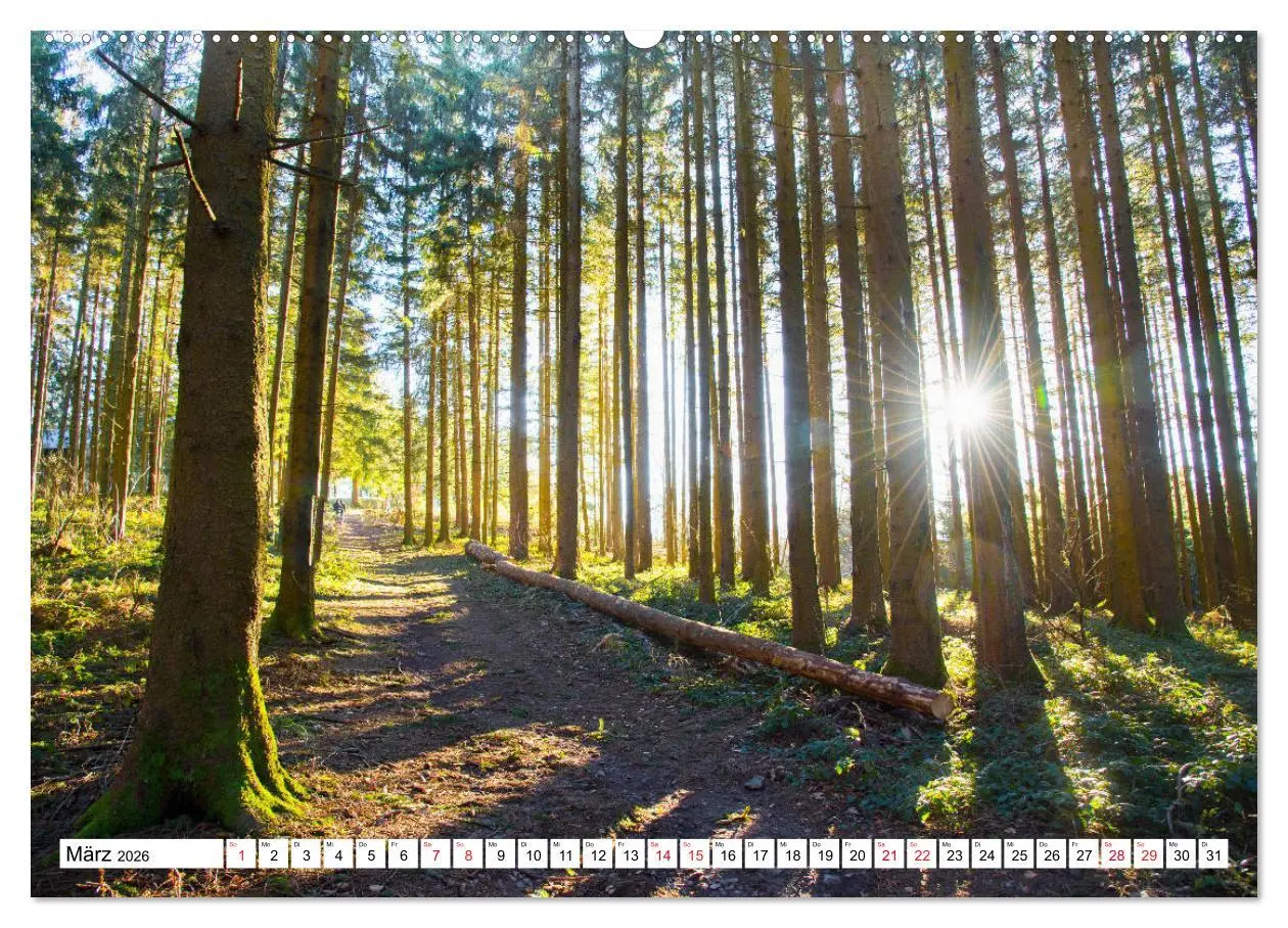 Bild: 9783457778258 | Idyllischer Schwarzwald (Wandkalender 2026 DIN A2 quer), CALVENDO...
