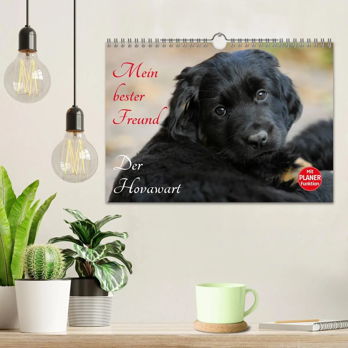 Bild: 9783516008258 | Mein bester Freund - Der Hovawart (Wandkalender 2026 DIN A4 quer),...