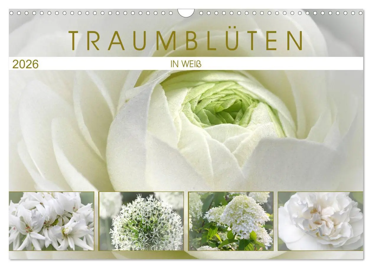 Cover: 9783457908358 | Traumblüten in Weiß (Wandkalender 2026 DIN A3 quer), CALVENDO...