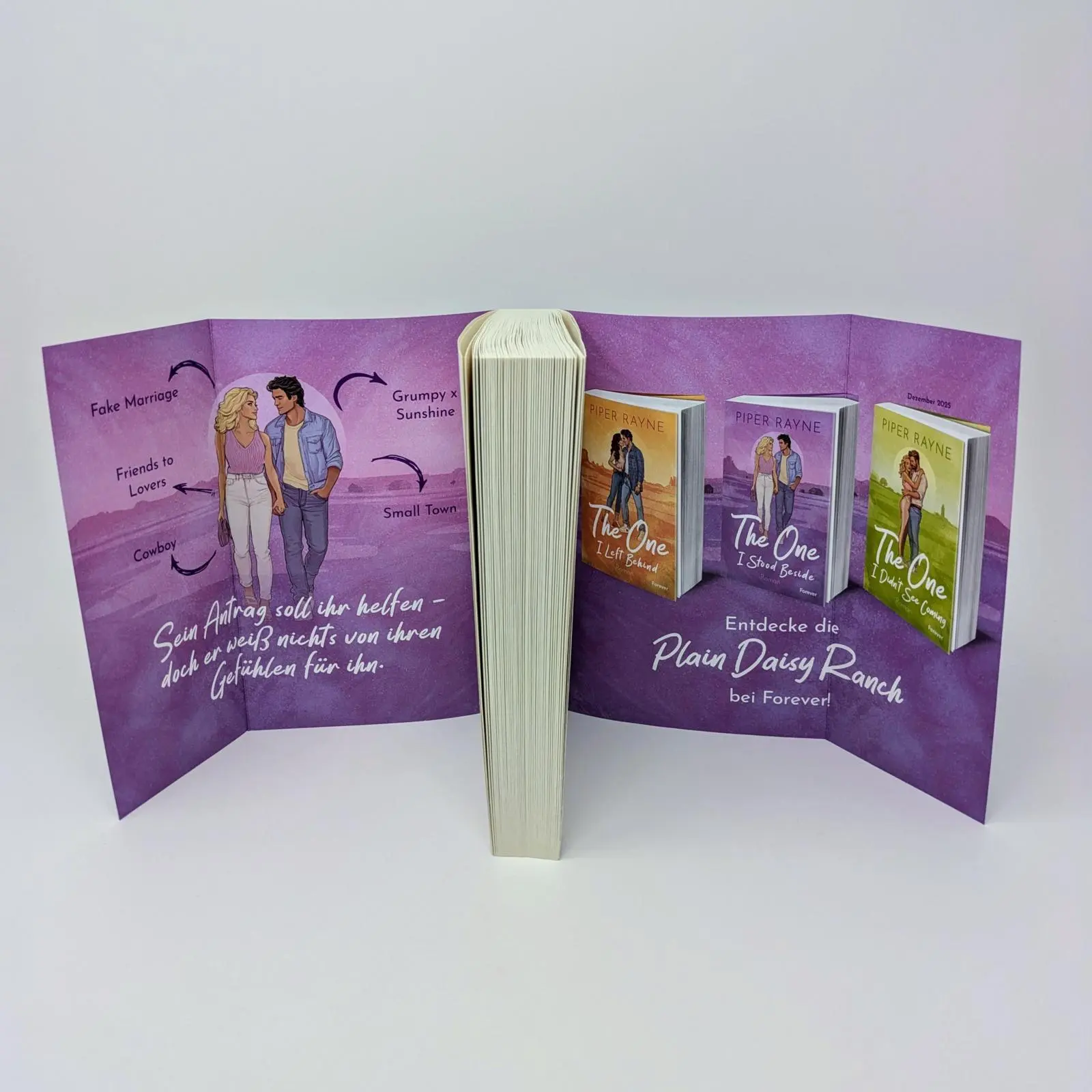 Bild: 9783958188358 | The One I Stood Beside | Piper Rayne | Taschenbuch | 336 S. | Deutsch
