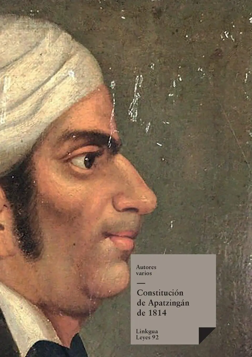 Cover: 9788490078358 | Constitución de Apatzingán de 1814 | Autores Varios | Taschenbuch