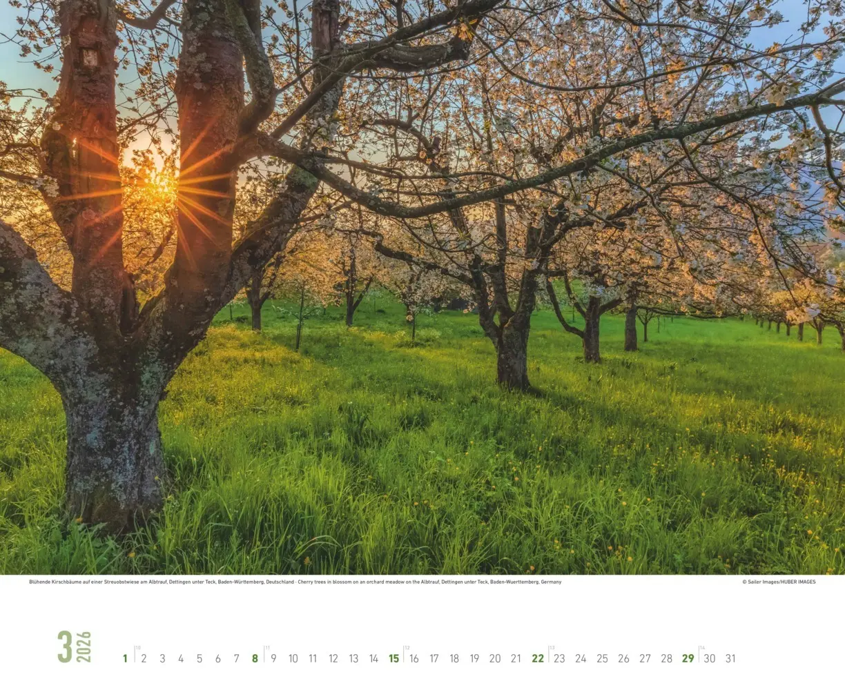 Bild: 4069095008458 | Alpha Edition - Momente der Stille 2026 - Wandkalender 52×42,5 cm...