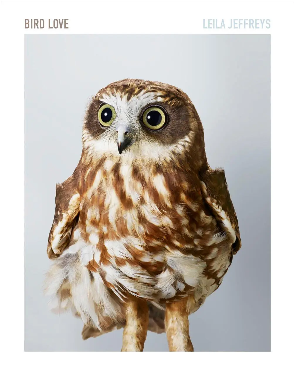 Cover: 9781419718458 | Bird Love | A Photography Book | Leila Jeffreys | Buch | Gebunden