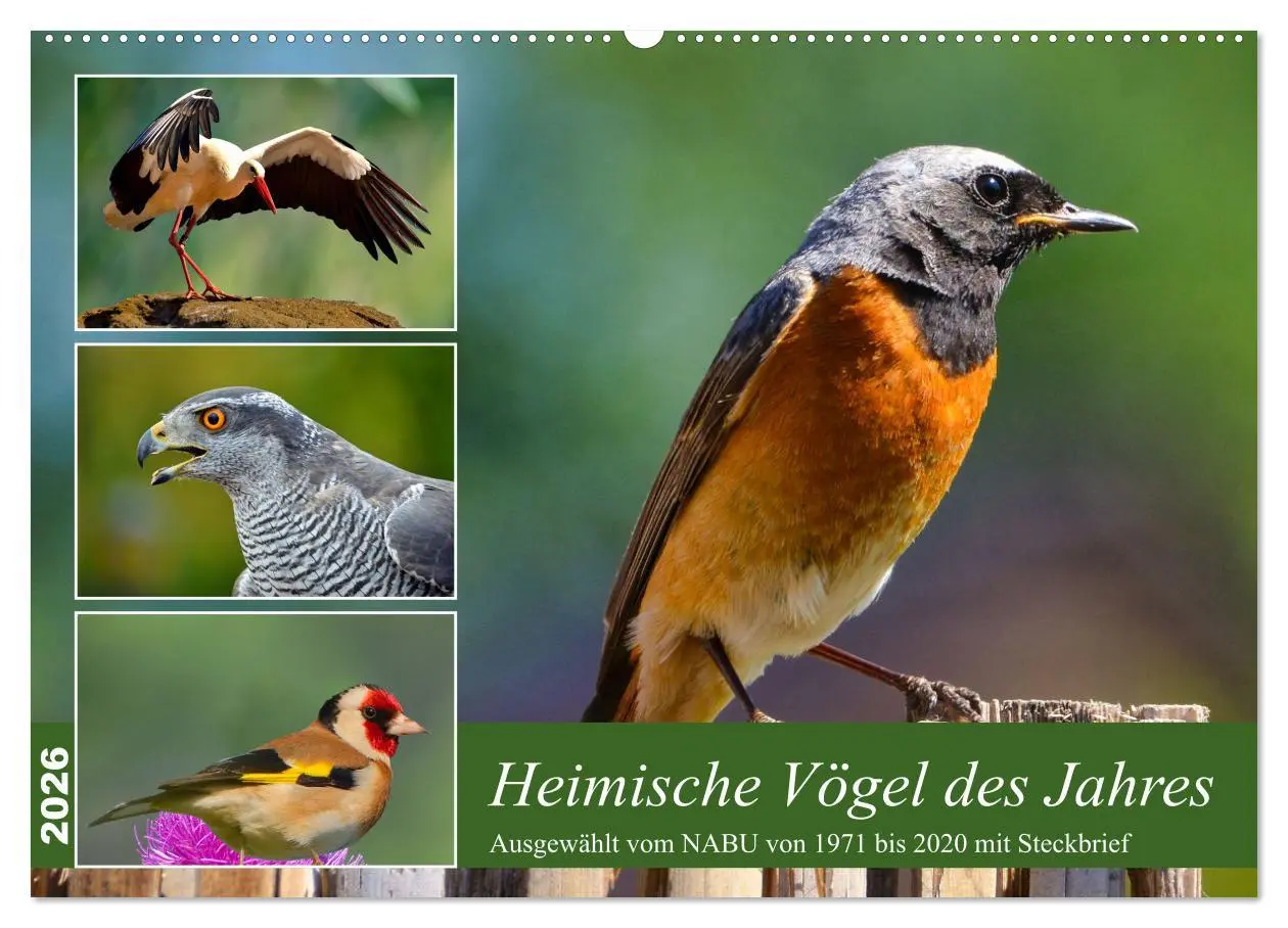 Cover: 9783457518458 | Heimische Vögel des Jahres (Wandkalender 2026 DIN A2 quer),...