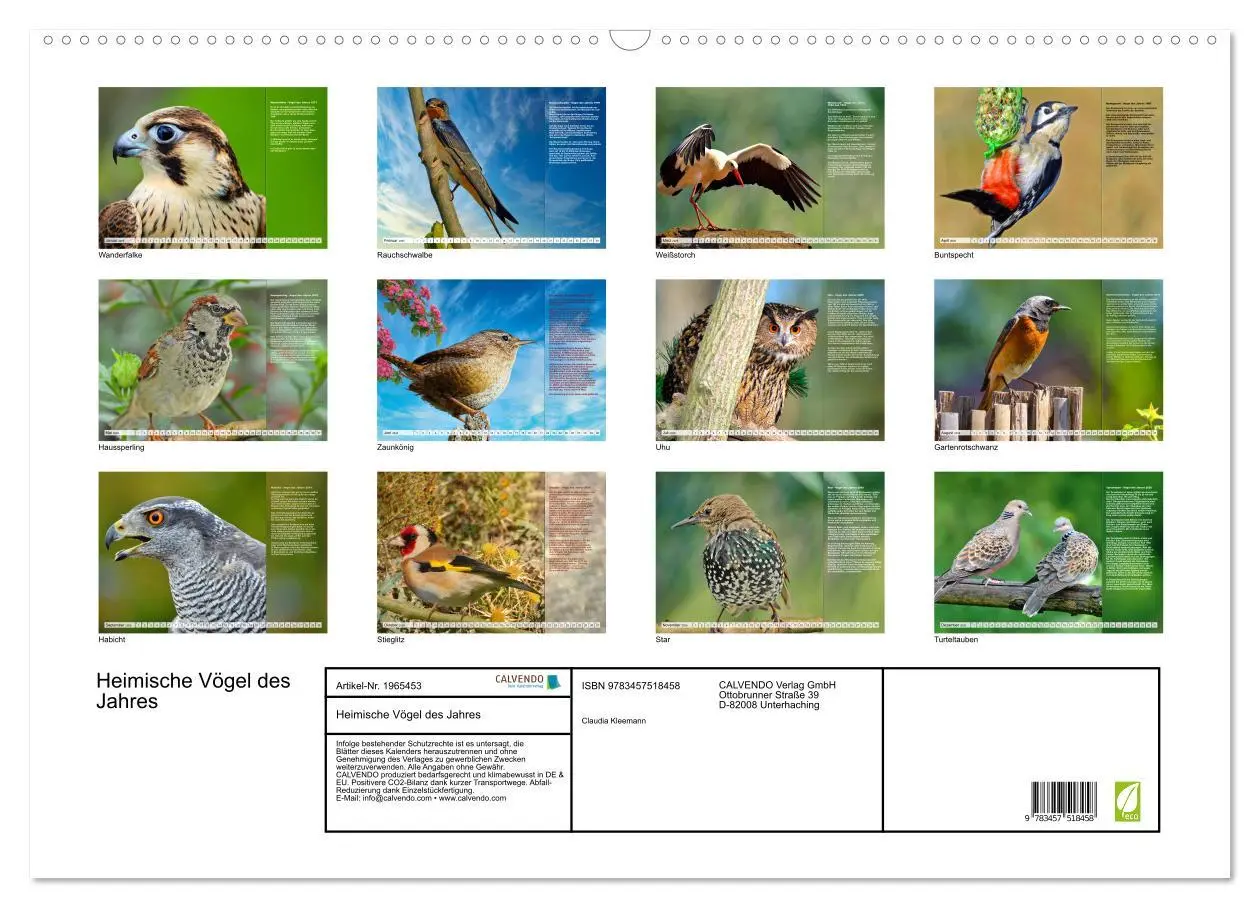 Bild: 9783457518458 | Heimische Vögel des Jahres (Wandkalender 2026 DIN A2 quer),...