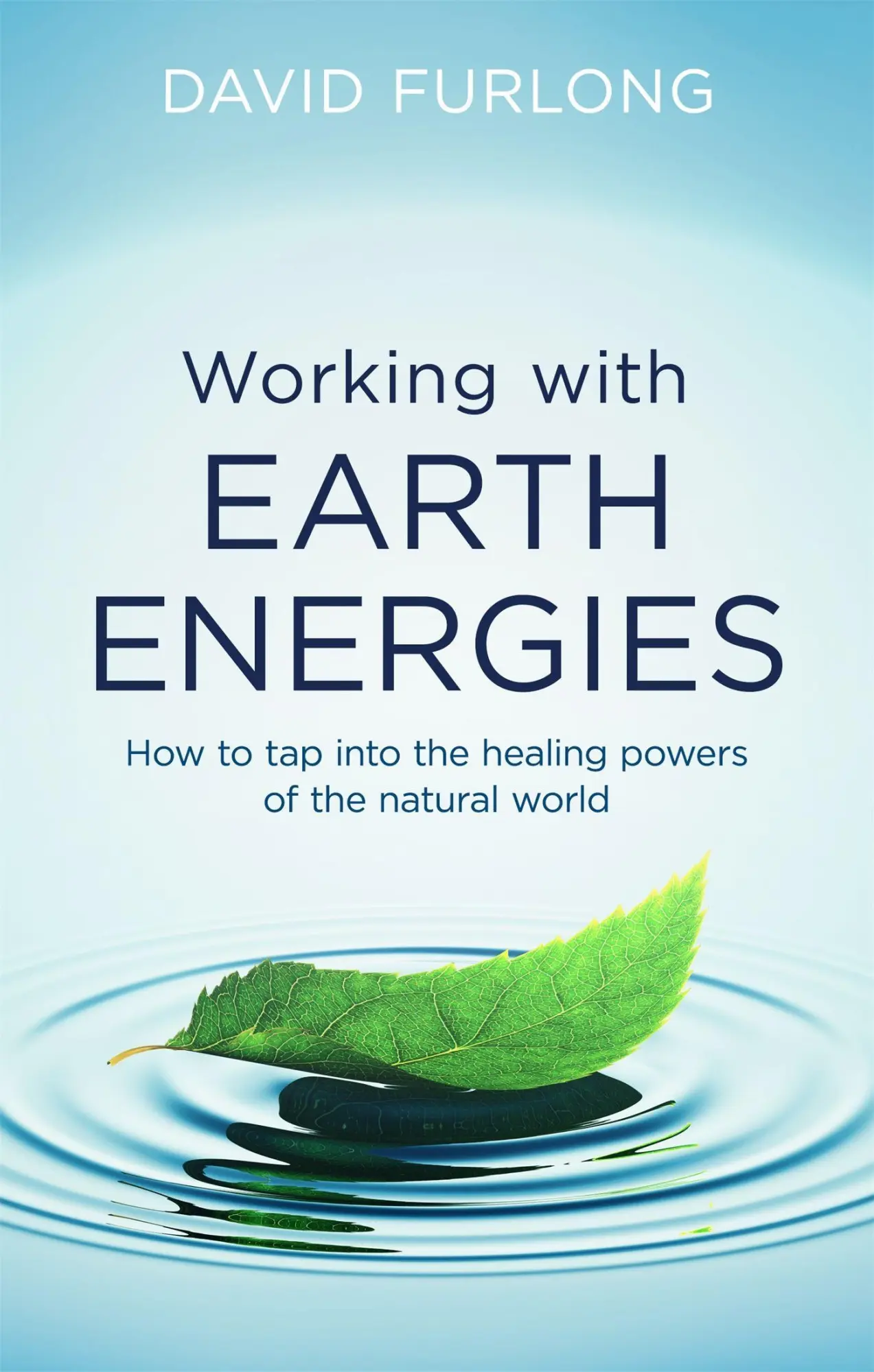 Cover: 9780749958558 | Working with Earth Energies | David Furlong | Taschenbuch | Englisch