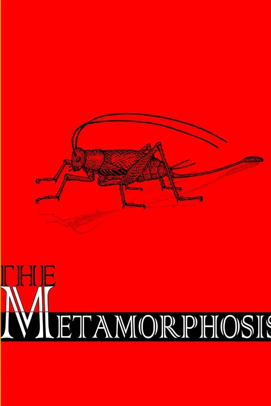 Cover: 9781300978558 | Metamorphosis | Franz Kafka | Taschenbuch | Kartoniert / Broschiert