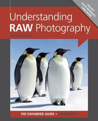 Cover: 9781907708558 | Understanding RAW Photography | David Taylor | Taschenbuch | Englisch