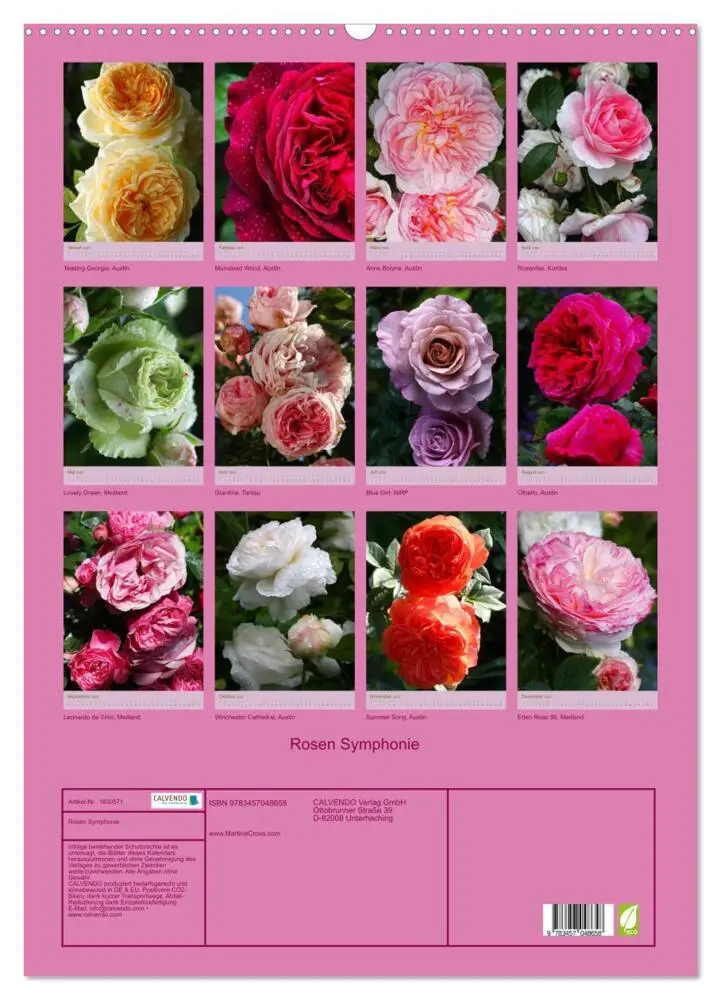 Bild: 9783457048658 | Rosen Symphonie (Wandkalender 2025 DIN A2 hoch), CALVENDO...