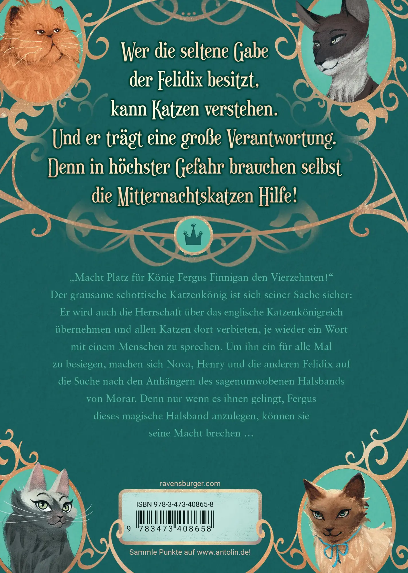 Rückseite: 9783473408658 | Mitternachtskatzen, Band 3 - Der König der Federträger | Barbara Laban