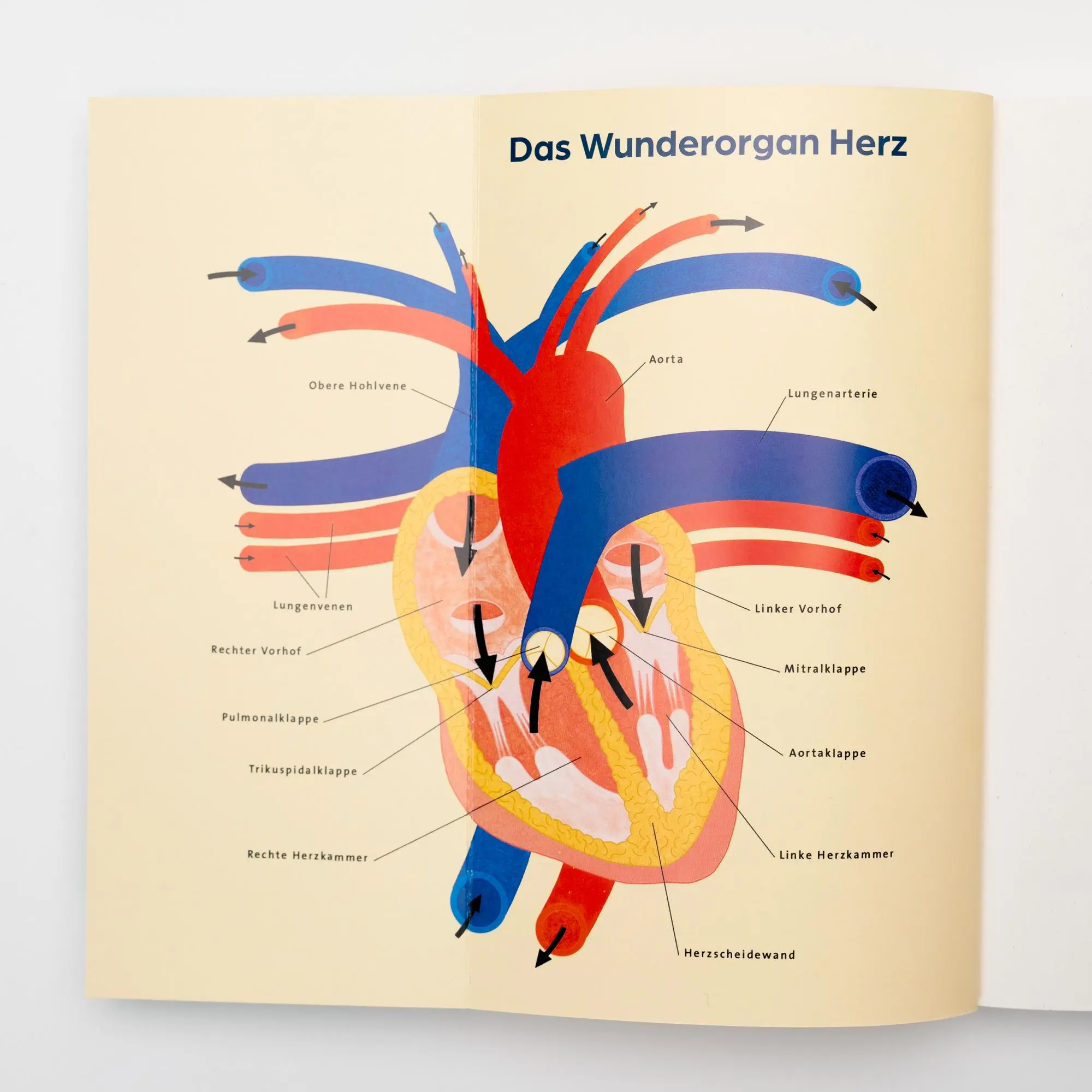 Bild: 9783499008658 | Herzensdinge | Umes Arunagirinathan (u. a.) | Taschenbuch | 304 S.