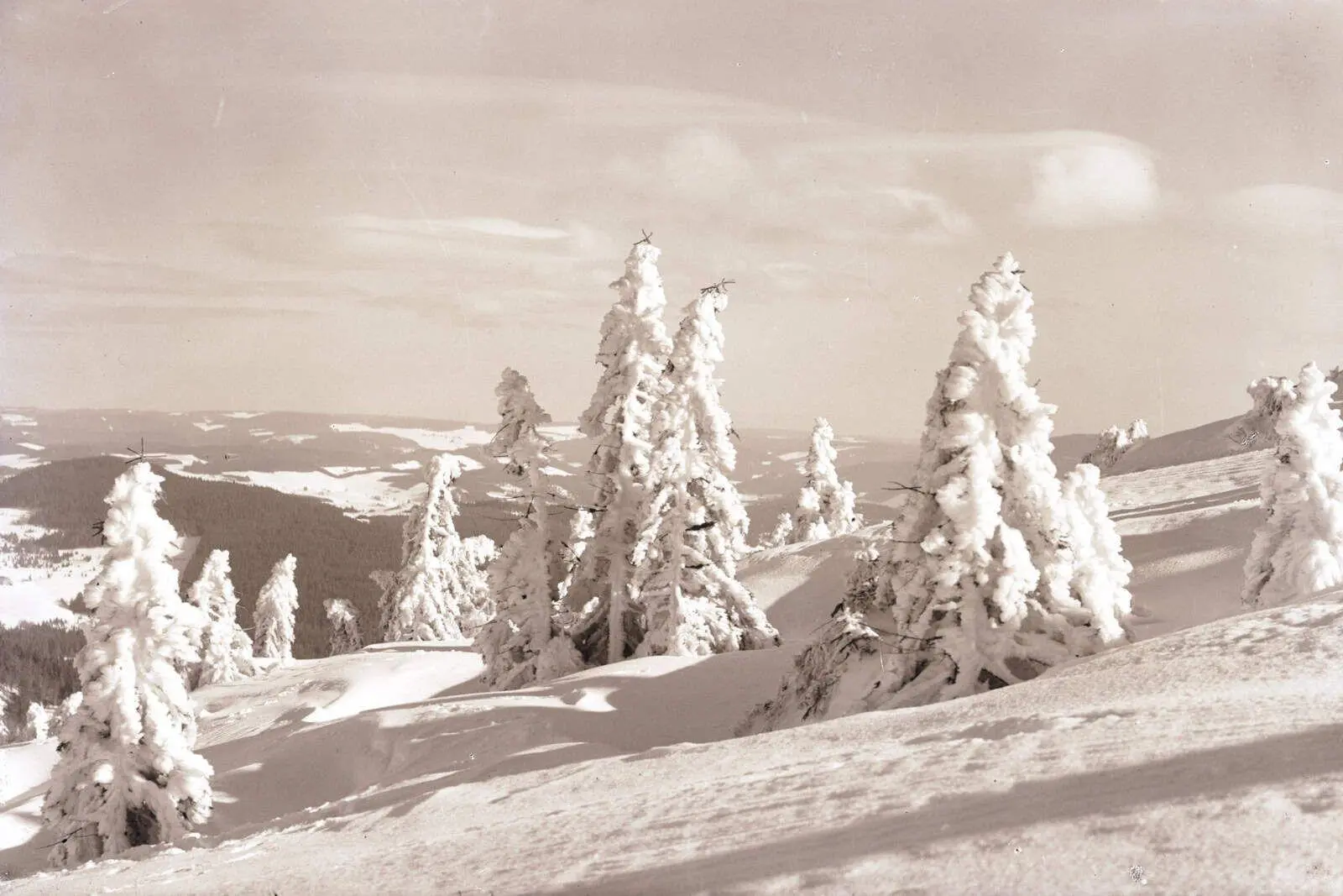 Bild: 9783910228658 | WinterZeitReise | Schwarzwald | Matthias Grüb | Buch | 208 S. | 2026