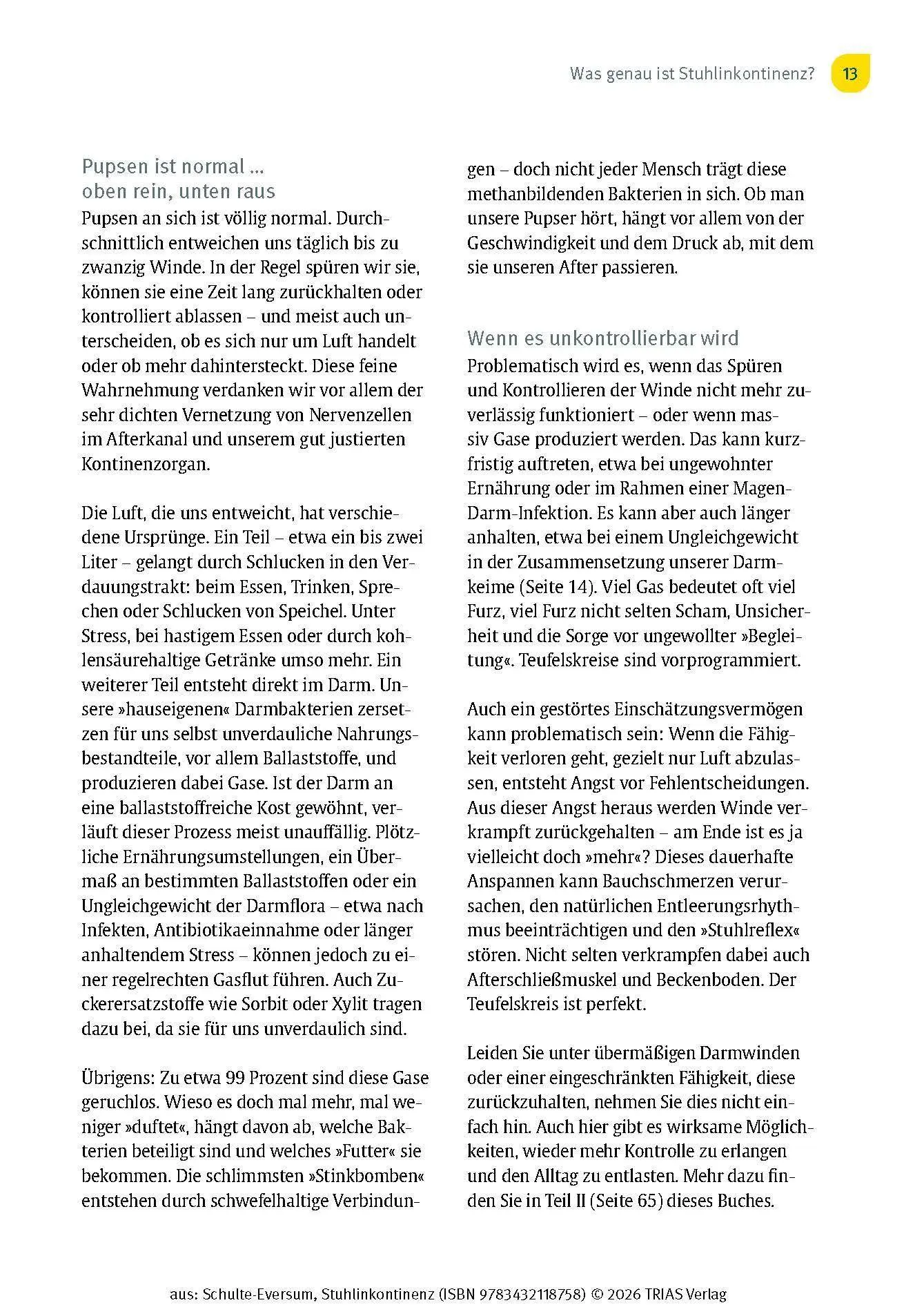 Bild: 9783432118758 | Stuhlinkontinenz | Caterina Schulte-Eversum | Taschenbuch | 144 S.