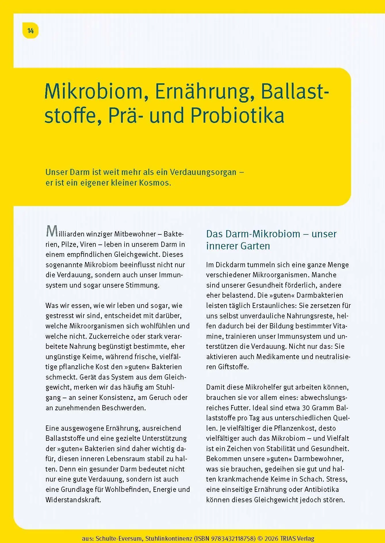 Bild: 9783432118758 | Stuhlinkontinenz | Caterina Schulte-Eversum | Taschenbuch | 144 S.