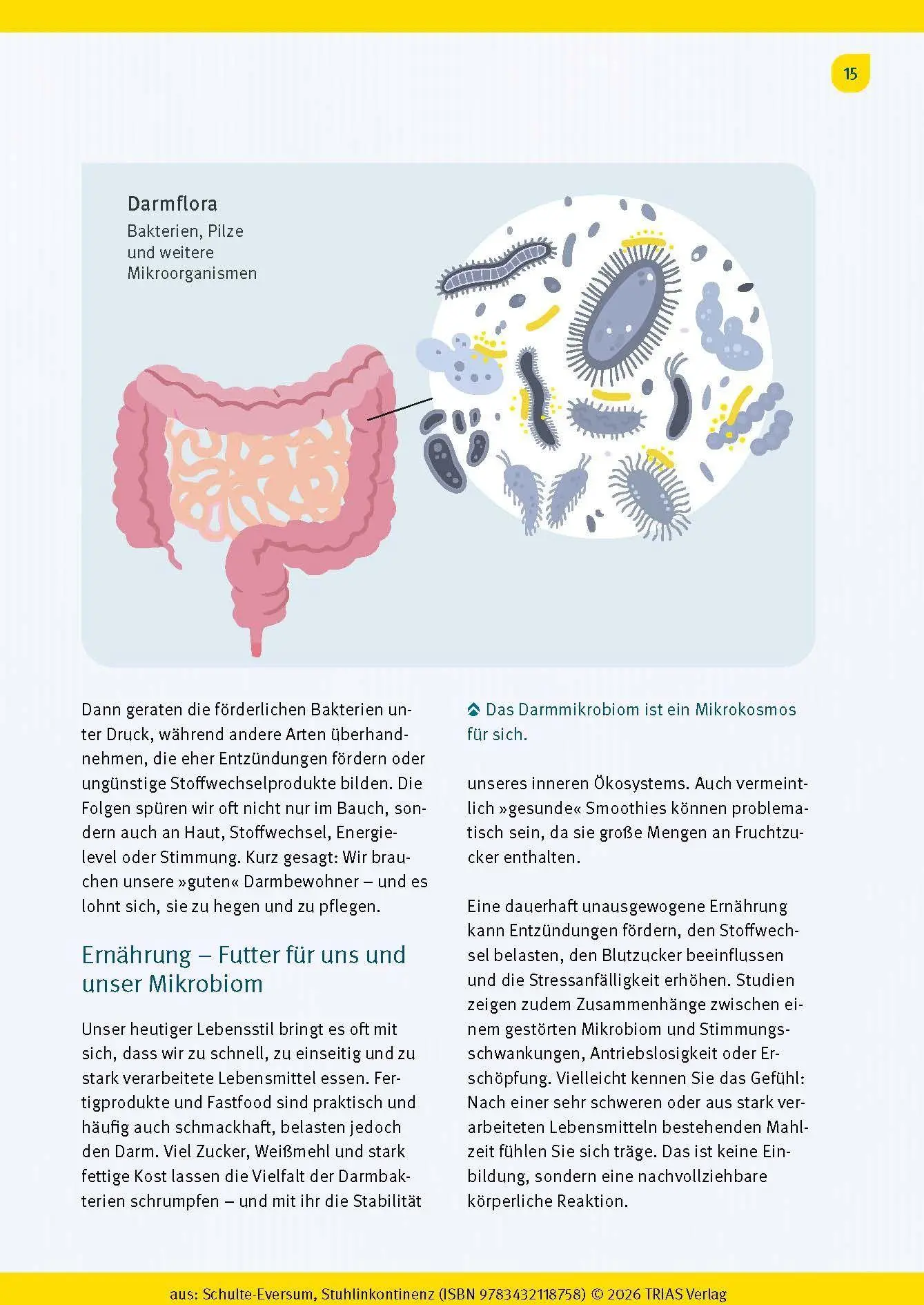 Bild: 9783432118758 | Stuhlinkontinenz | Caterina Schulte-Eversum | Taschenbuch | 144 S.