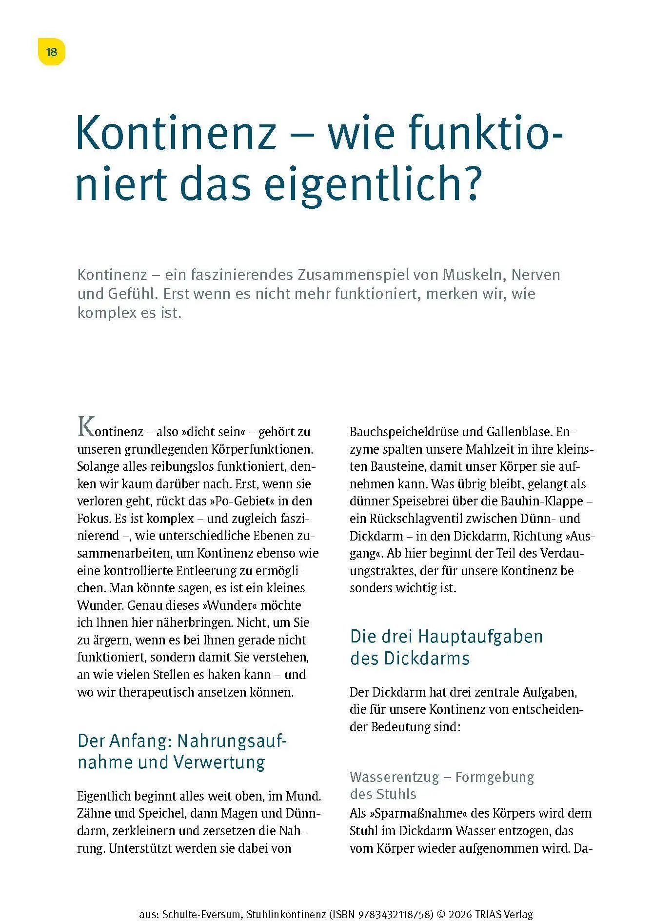 Bild: 9783432118758 | Stuhlinkontinenz | Caterina Schulte-Eversum | Taschenbuch | 144 S.