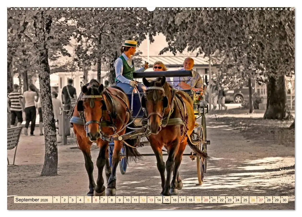 Bild: 9783457968758 | Pferdekutschen - Vorgänger des Automobils (Wandkalender 2026 DIN A2...