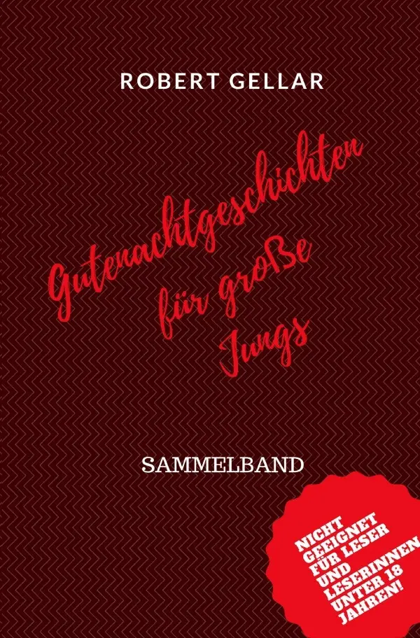 Cover: 9783746738758 | Gutenachtgeschichten für große Jungs | Robert Gellar | Taschenbuch