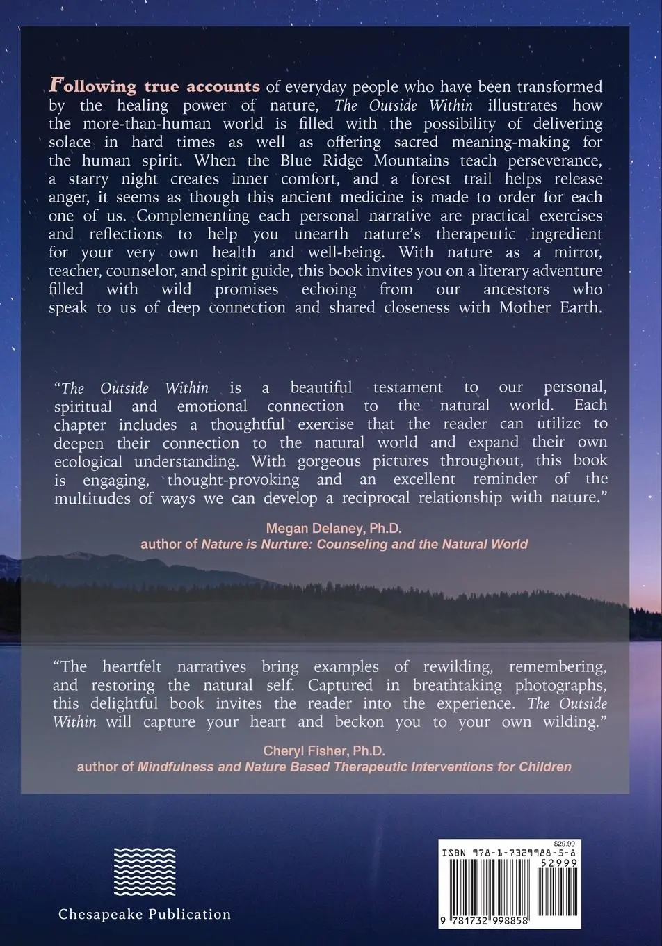 Rückseite: 9781732998858 | The Outside Within | Heidi Schreiber-Pan | Taschenbuch | Englisch
