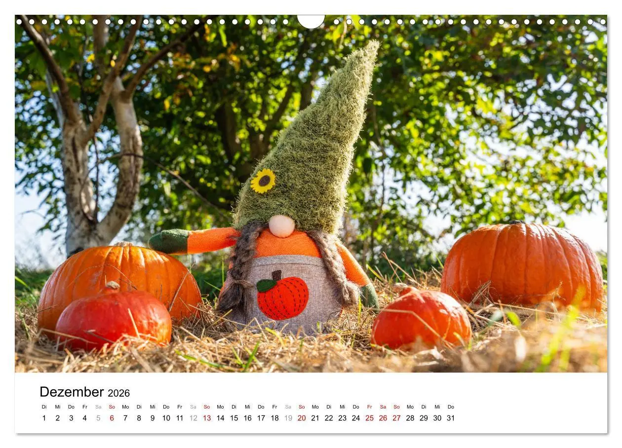 Bild: 9783457338858 | KÜRBIS KALENDER - Die schönsten Kürbisse des Jahres (Wandkalender...