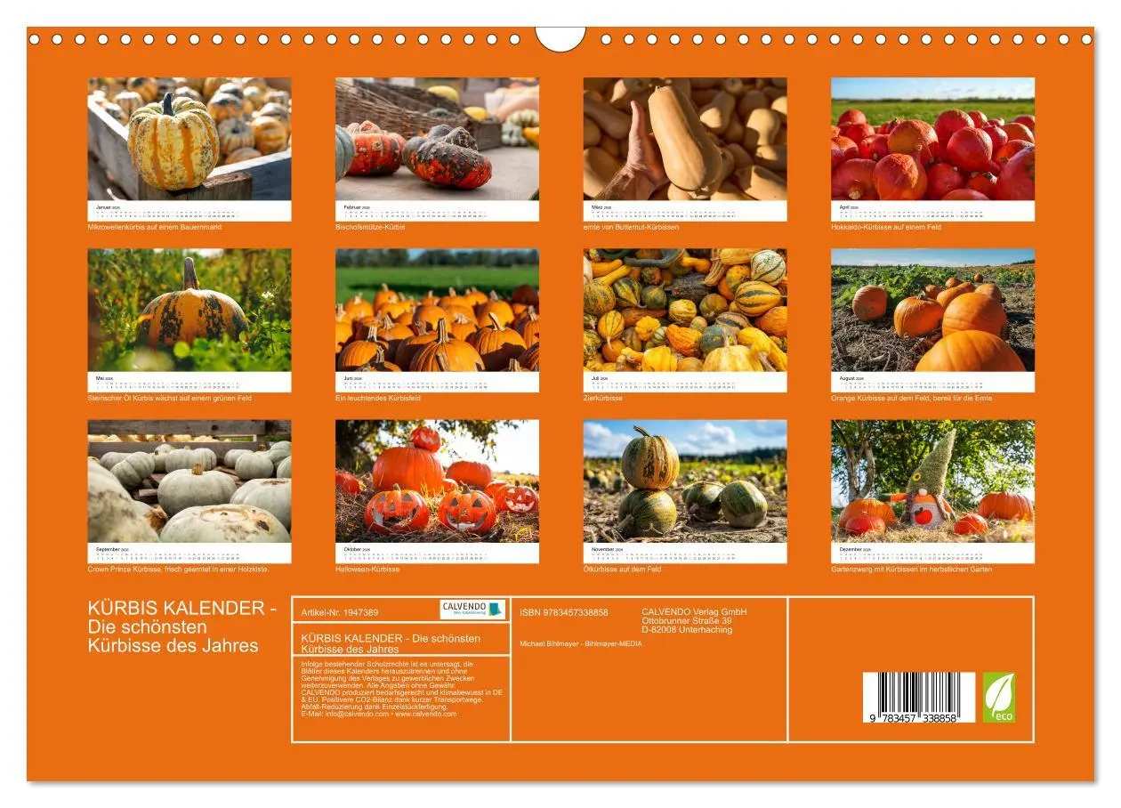 Bild: 9783457338858 | KÜRBIS KALENDER - Die schönsten Kürbisse des Jahres (Wandkalender...