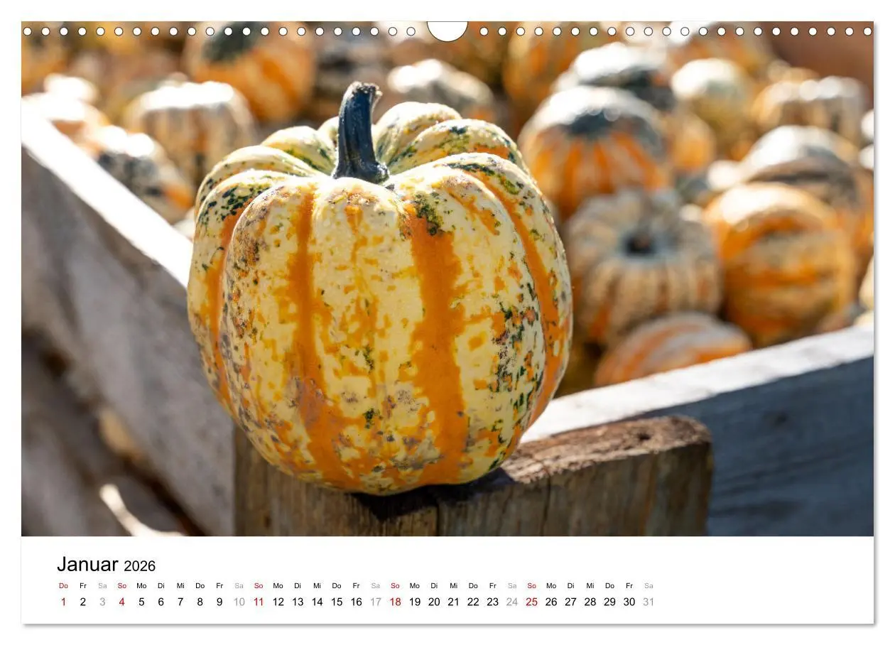 Bild: 9783457338858 | KÜRBIS KALENDER - Die schönsten Kürbisse des Jahres (Wandkalender...