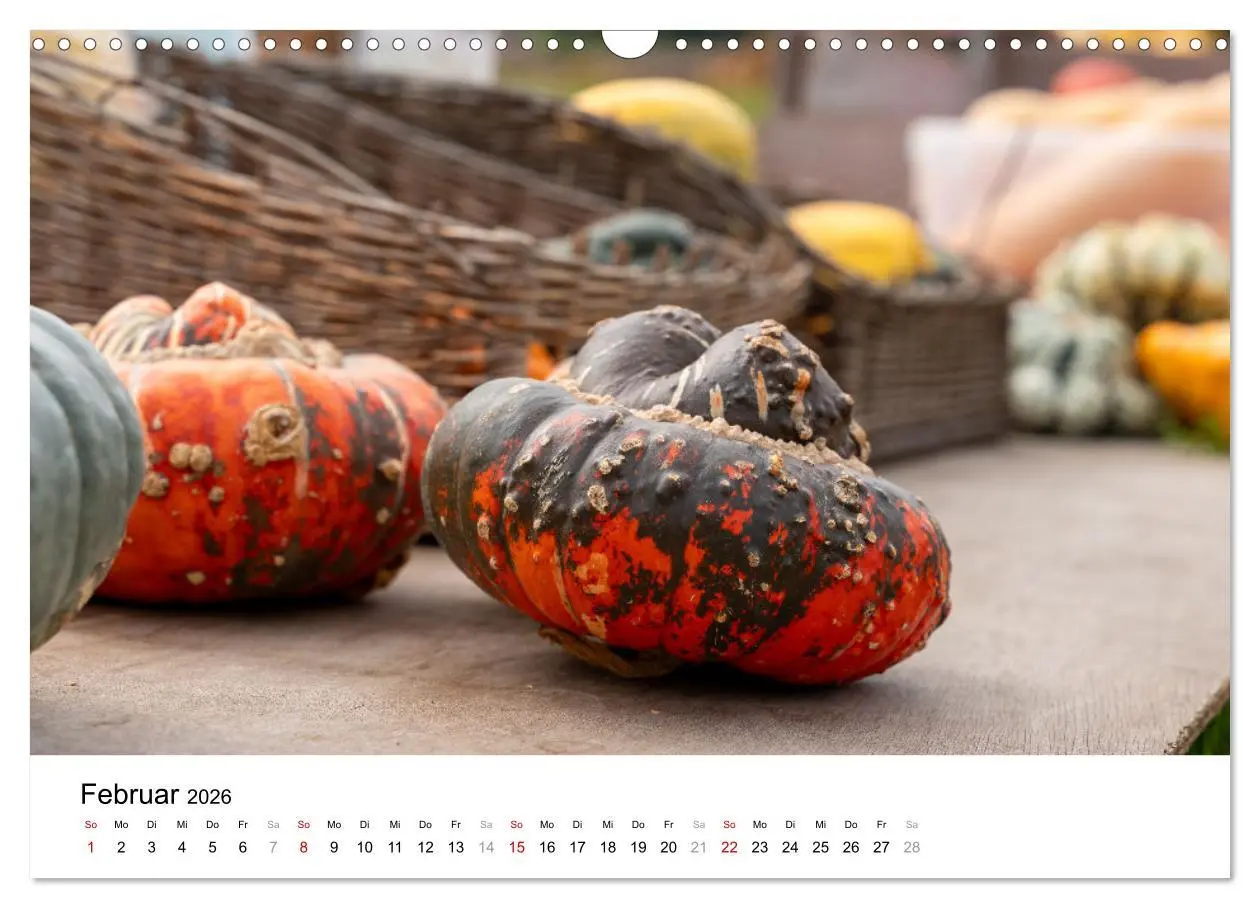 Bild: 9783457338858 | KÜRBIS KALENDER - Die schönsten Kürbisse des Jahres (Wandkalender...