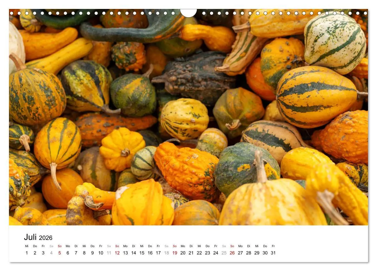 Bild: 9783457338858 | KÜRBIS KALENDER - Die schönsten Kürbisse des Jahres (Wandkalender...