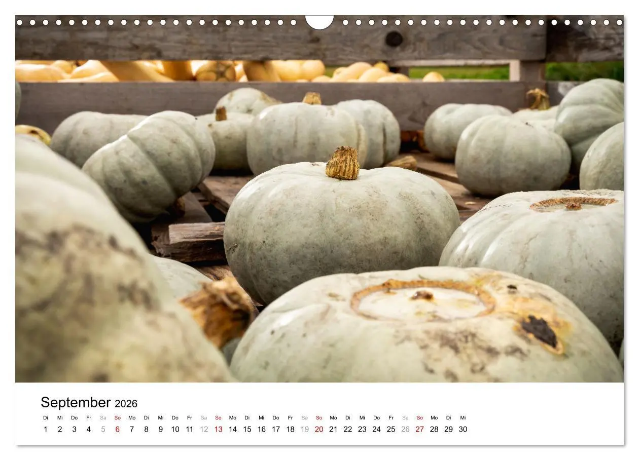 Bild: 9783457338858 | KÜRBIS KALENDER - Die schönsten Kürbisse des Jahres (Wandkalender...