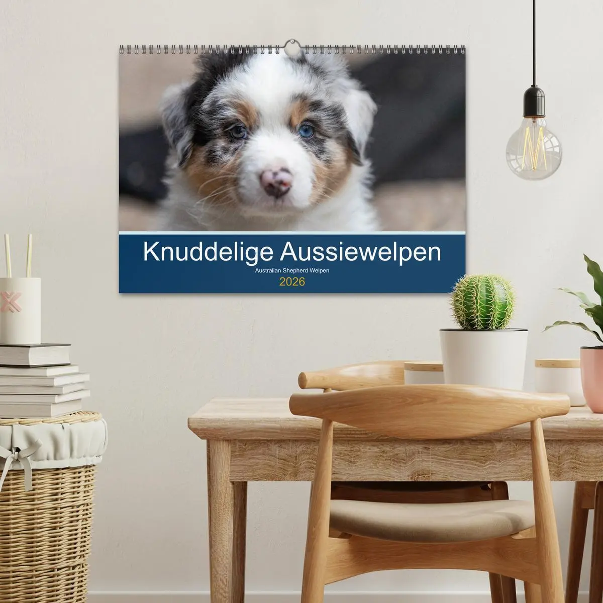 Bild: 9783457718858 | Australian Shepherd Welpen 2026 (Wandkalender 2026 DIN A3 quer),...