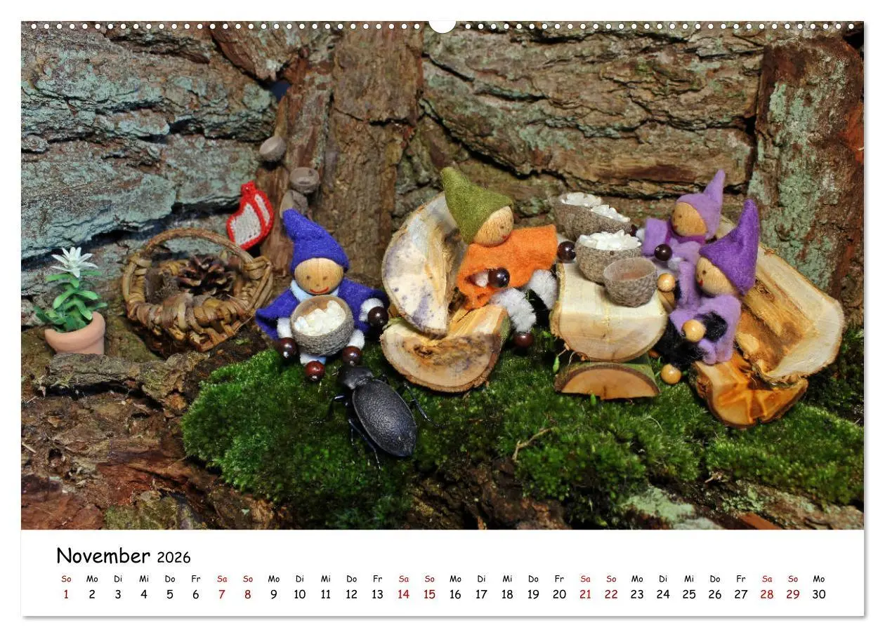 Bild: 9783457888858 | Die Abenteuer der vier kleinen Wichtel (Wandkalender 2026 DIN A2...