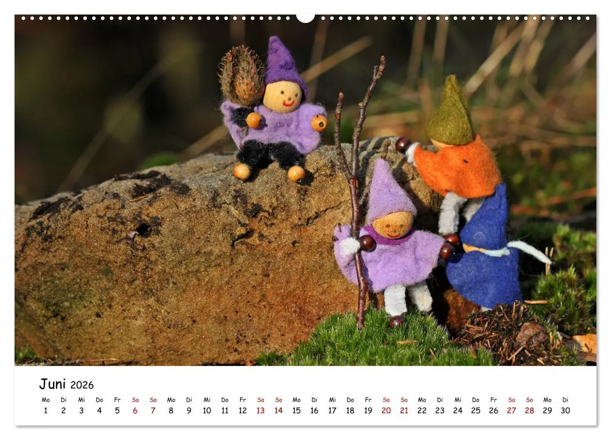 Bild: 9783457888858 | Die Abenteuer der vier kleinen Wichtel (Wandkalender 2026 DIN A2...