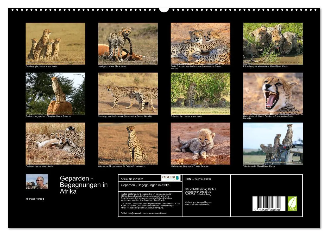 Bild: 9783516048858 | Geparden - Begegnungen in Afrika (hochwertiger Premium Wandkalender...