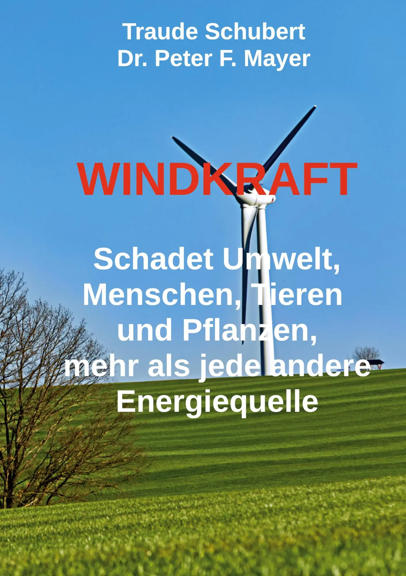 Cover: 9783819228858 | Windkraft | Peter F. Mayer (u. a.) | Taschenbuch | 314 S. | Deutsch