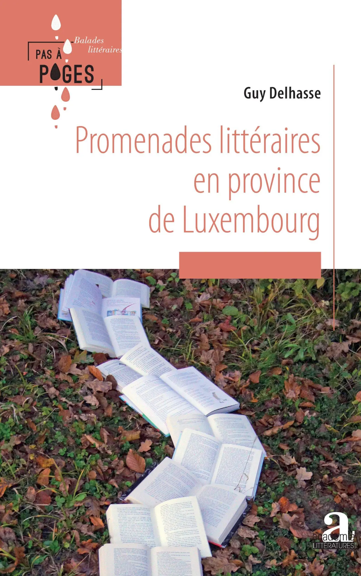 Cover: 9782806138958 | Promenades littéraires en province de Luxembourg | Guy Delhasse | Buch